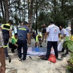 外国游客在泰被树枝砸中当场死亡!-白嫖攻略-白嫖彩金-白菜社区