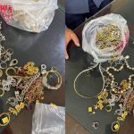 金边“忍者大盗”被抓-白嫖攻略-白嫖彩金-白菜社区