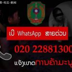 46名外籍女被转嫁贩卖给多地单身男 狂赚133万终落网最高检披露-白嫖攻略-白嫖彩金-白菜社区