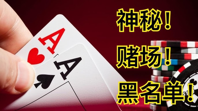 资深玩家的八条生存定律：掌握游戏世界的至理名言-白嫖攻略-白嫖彩金-白菜社区